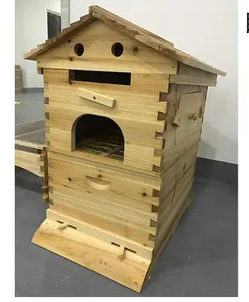 Beehive Automatic Honey Collection And Honey Bee Spleen Blue Zone Planet