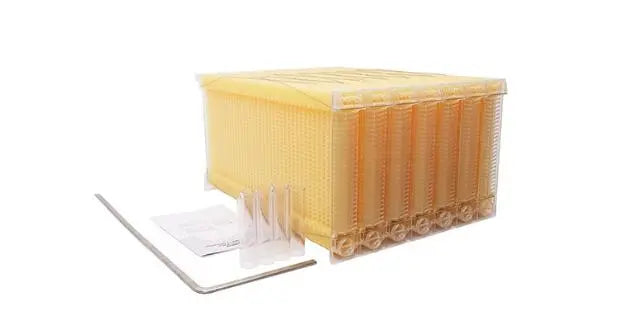 Beehive Automatic Honey Collection And Honey Bee Spleen Blue Zone Planet