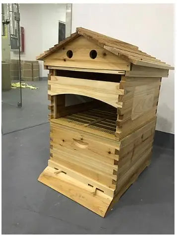 Beehive Automatic Honey Collection And Honey Bee Spleen Blue Zone Planet