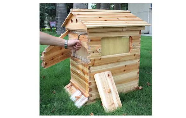 Beehive Automatic Honey Collection And Honey Bee Spleen Blue Zone Planet