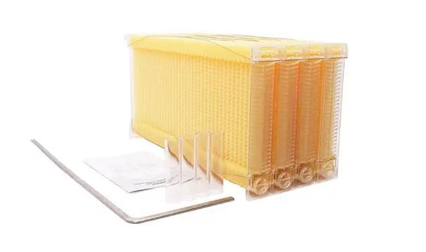 Beehive Automatic Honey Collection And Honey Bee Spleen Blue Zone Planet