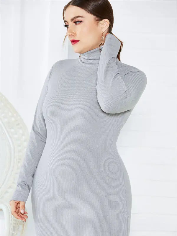 Blue Zone Planet | Plus Size Solid Color Knit Turtleneck Long Sleeve Dress BLUE ZONE PLANET