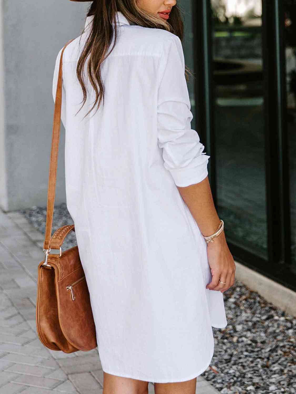 Button Up Collared Neck Long Sleeve Shirt Dress BLUE ZONE PLANET