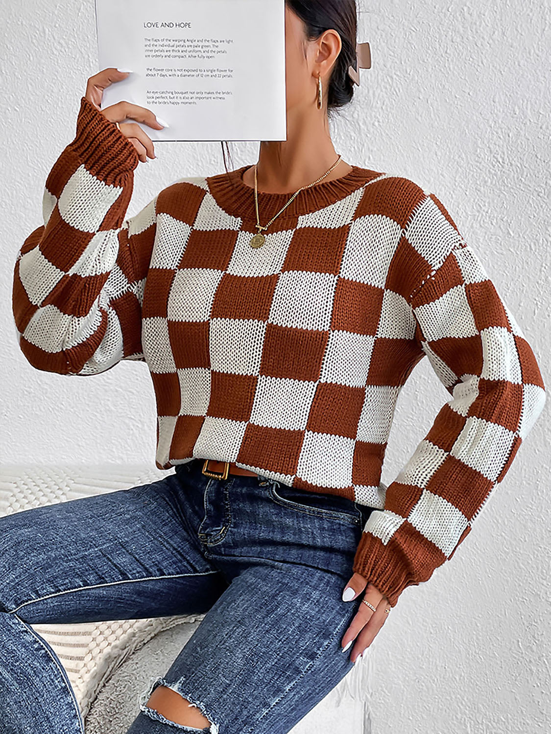 Checkered Round Neck Sweater BLUE ZONE PLANET