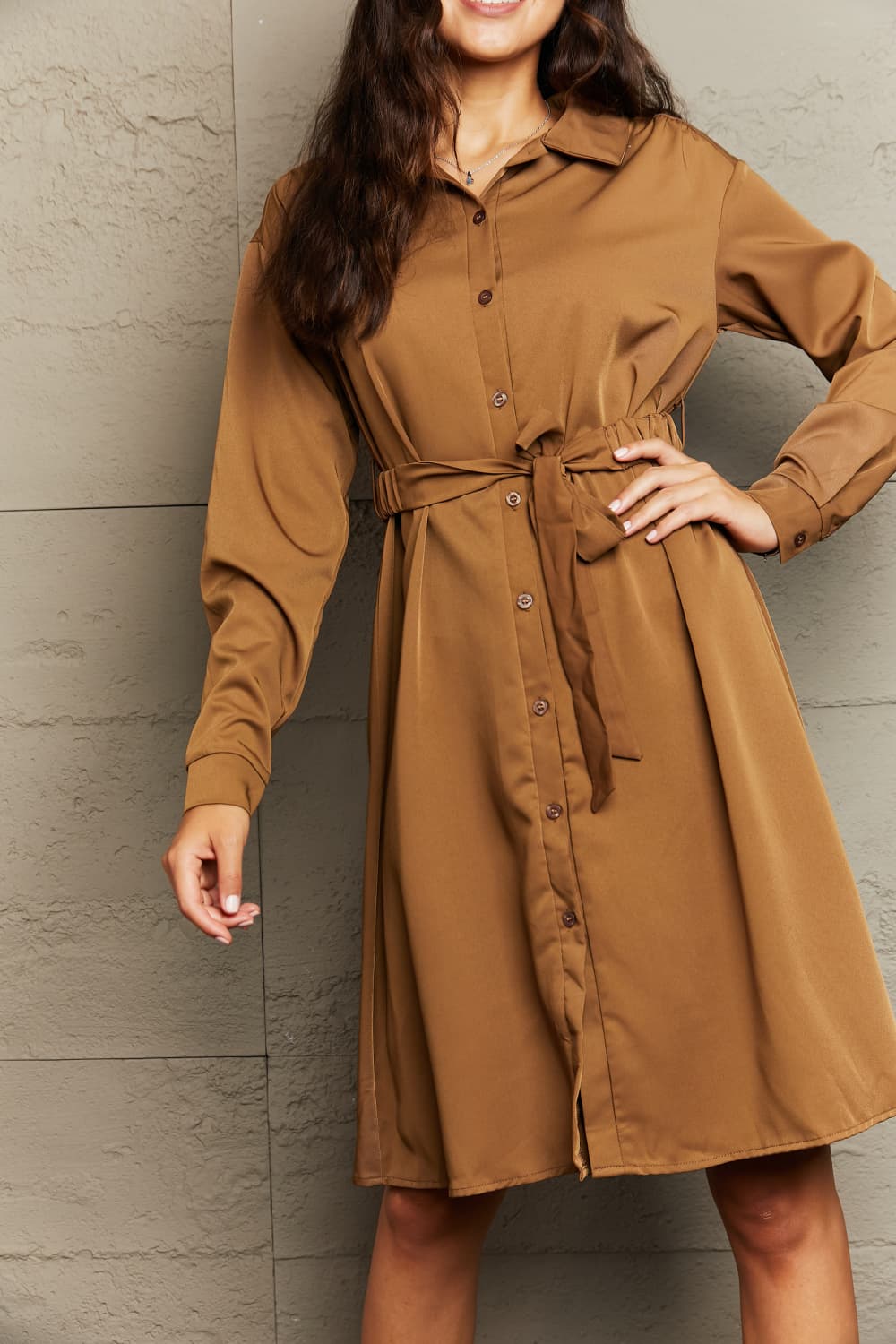 Collared Neck Button Down Dress BLUE ZONE PLANET