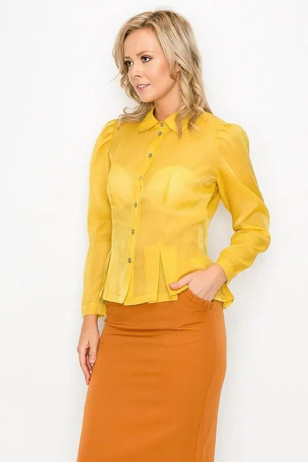 Organza Pleated Long Sleeve Blouse Blue Zone Planet