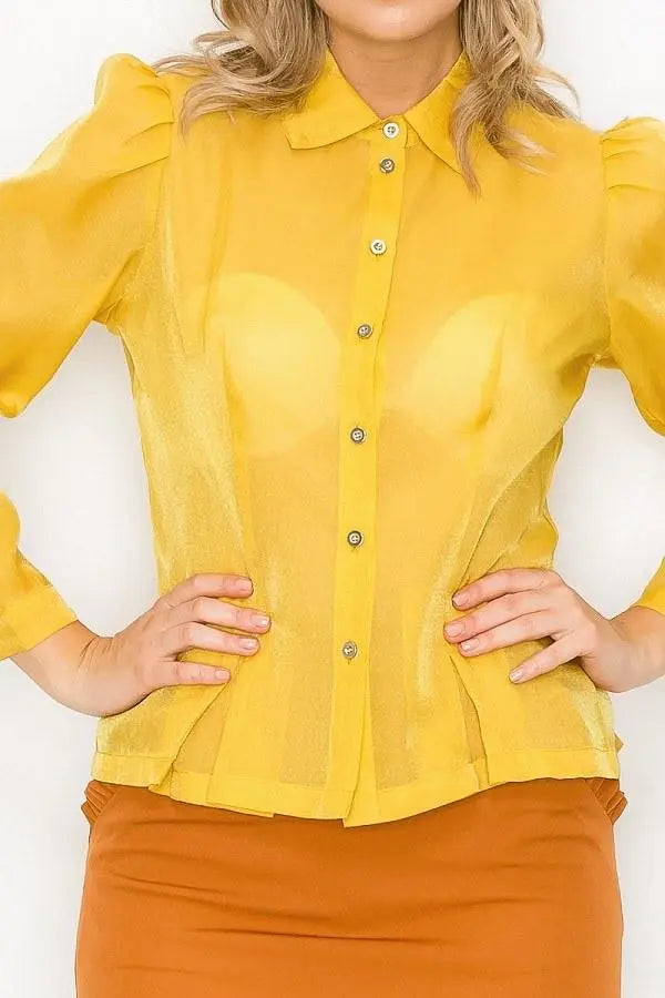 Organza Pleated Long Sleeve Blouse Blue Zone Planet