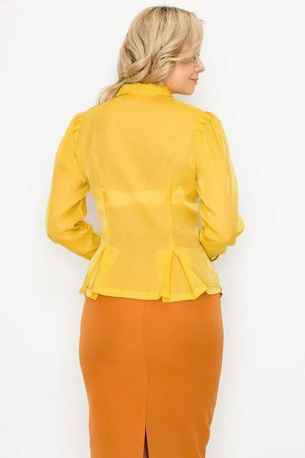 Organza Pleated Long Sleeve Blouse Blue Zone Planet