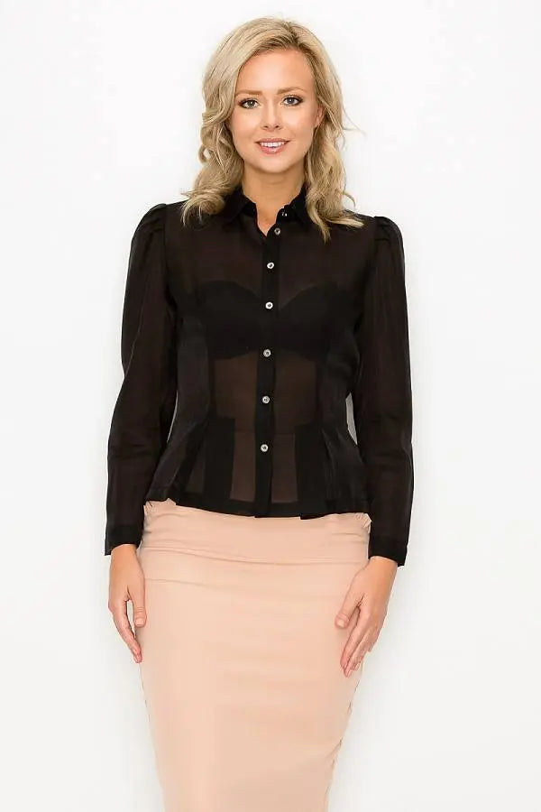 Organza Pleated Long Sleeve Blouse Blue Zone Planet