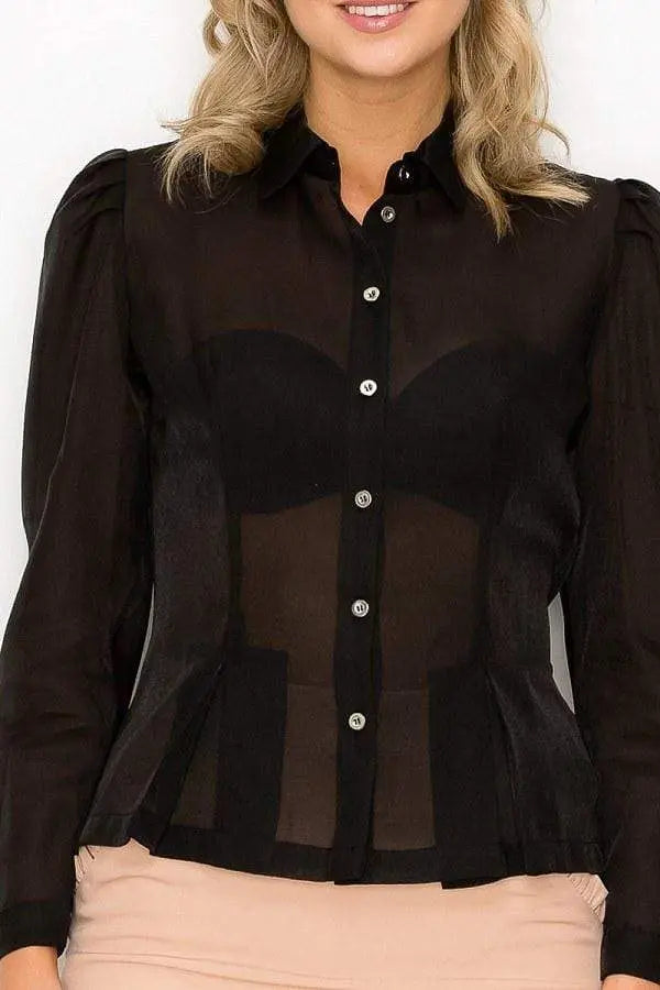 Organza Pleated Long Sleeve Blouse Blue Zone Planet