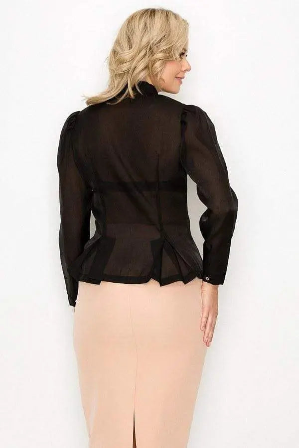 Organza Pleated Long Sleeve Blouse Blue Zone Planet