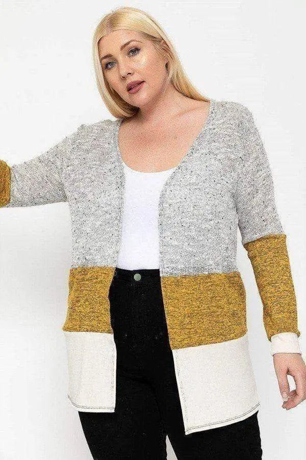 Plus Size Color Block, Lightweight Cardigan Blue Zone Planet