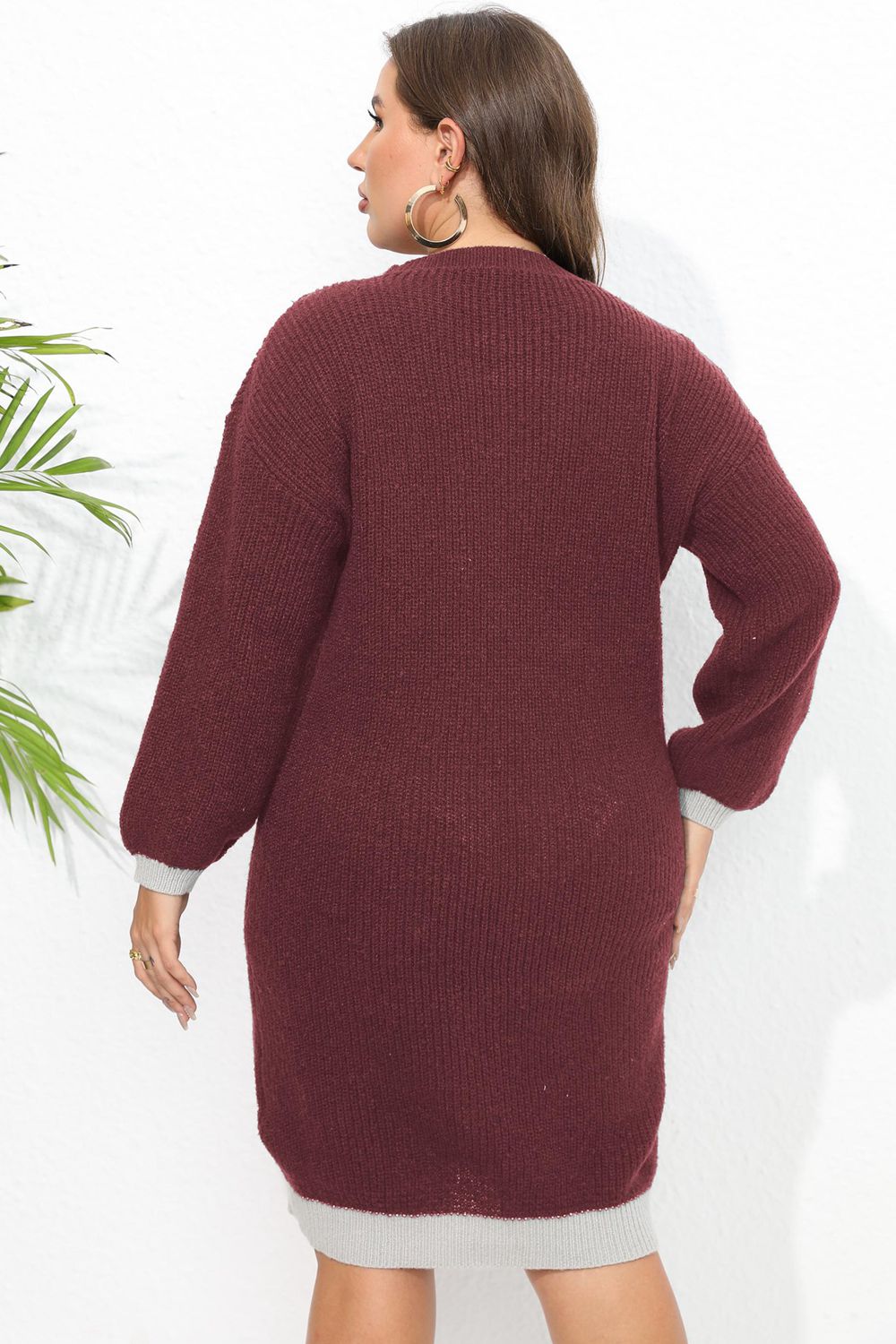 Plus Size Long Sleeve Sweater Dress BLUE ZONE PLANET