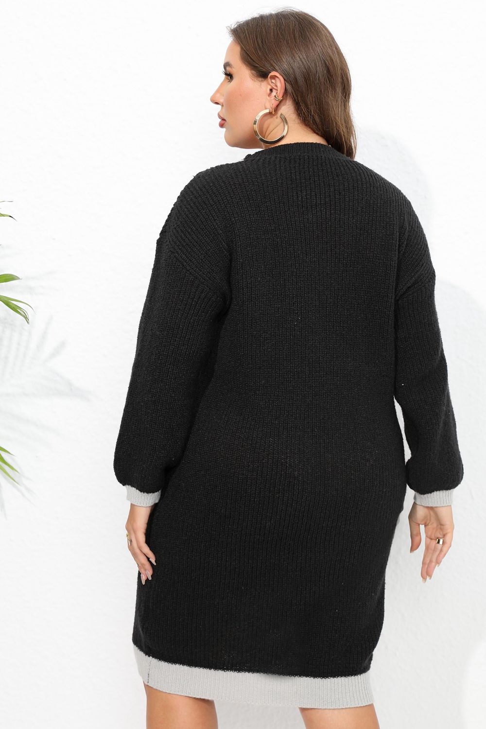 Plus Size Long Sleeve Sweater Dress BLUE ZONE PLANET
