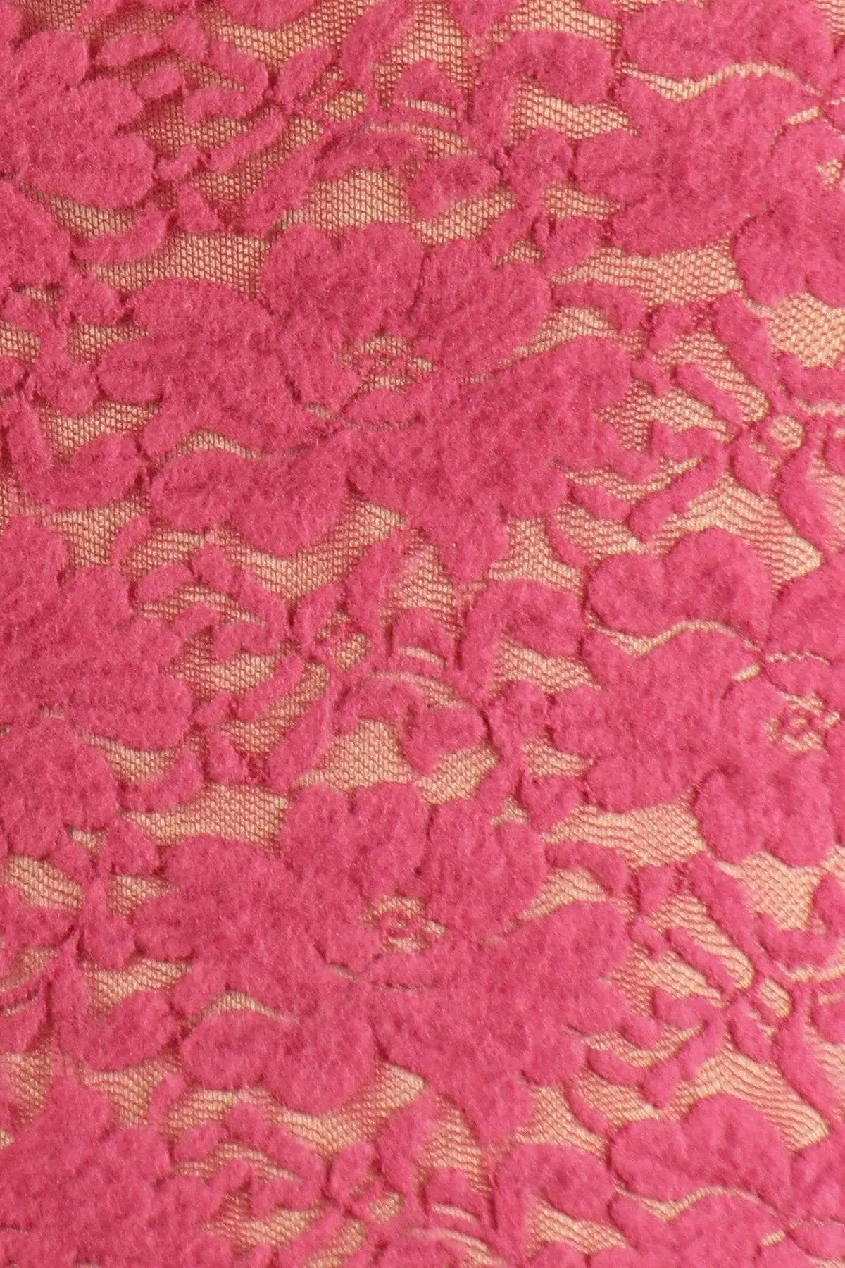 Plus Size Sheer Lace Fitted Top Blue Zone Planet