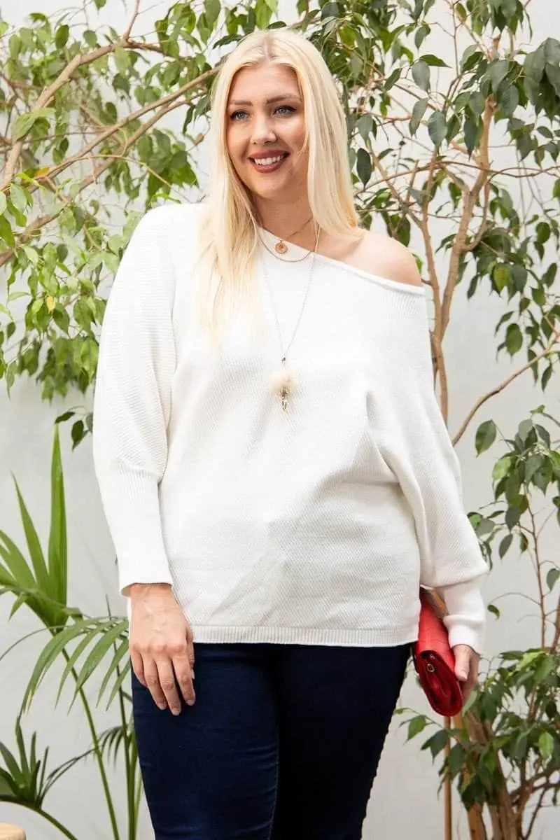 Round Neck Long Sleeve Solid Sweater Blue Zone Planet