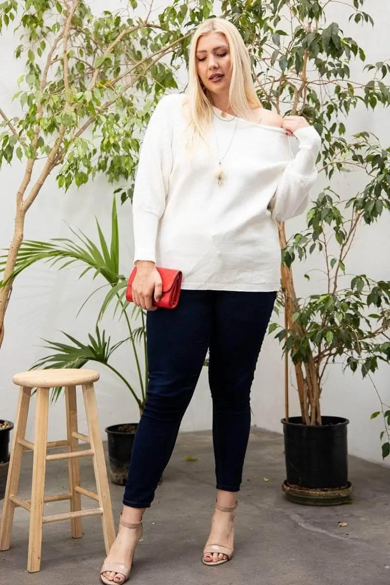Round Neck Long Sleeve Solid Sweater Blue Zone Planet