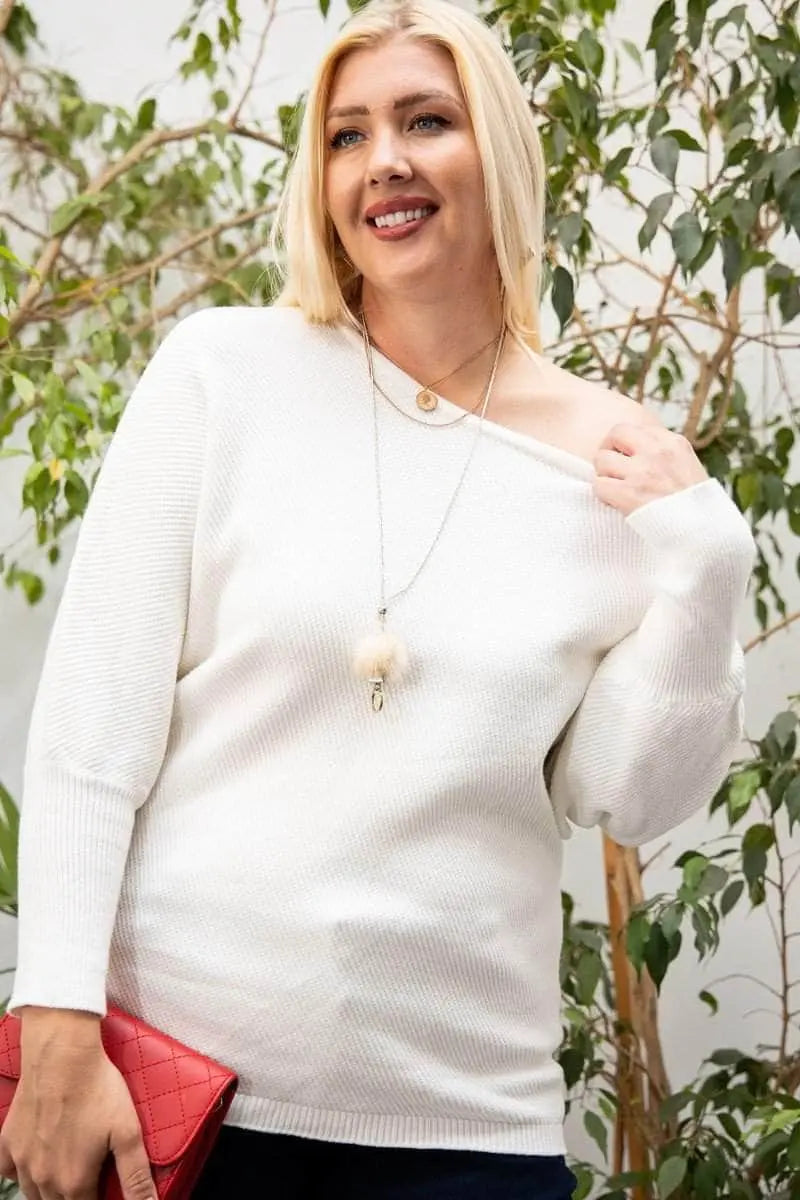 Round Neck Long Sleeve Solid Sweater Blue Zone Planet