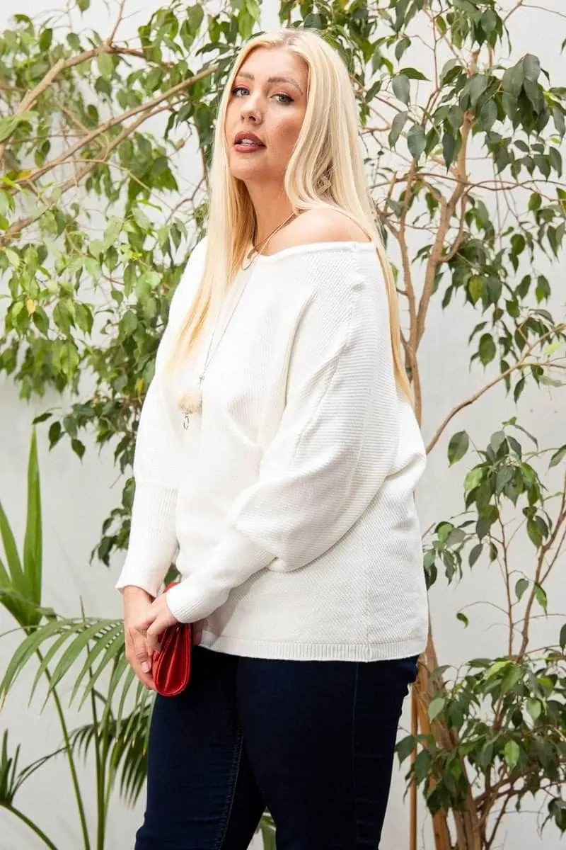 Round Neck Long Sleeve Solid Sweater Blue Zone Planet