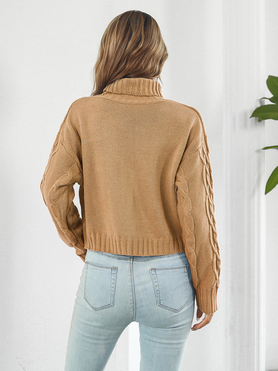Turtleneck Dropped Shoulder Sweater BLUE ZONE PLANET