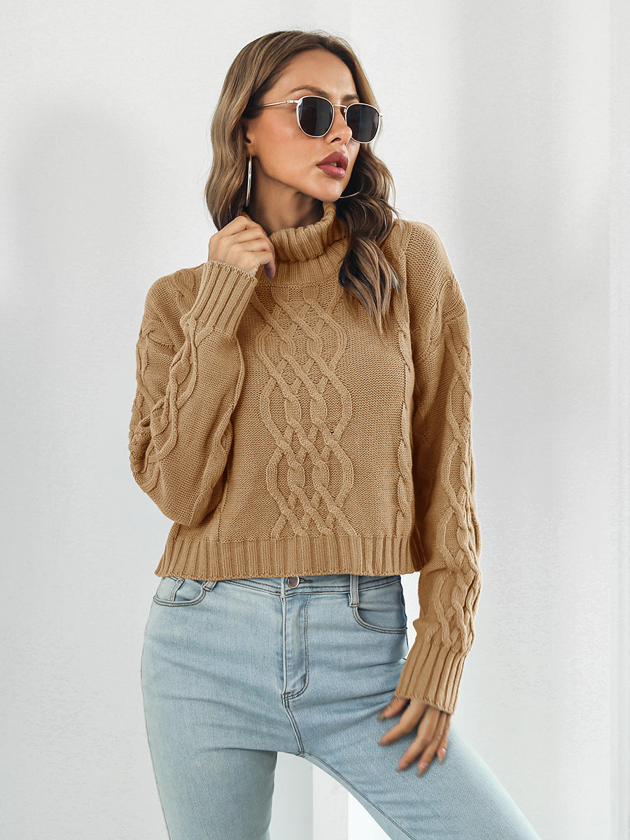 Turtleneck Dropped Shoulder Sweater BLUE ZONE PLANET
