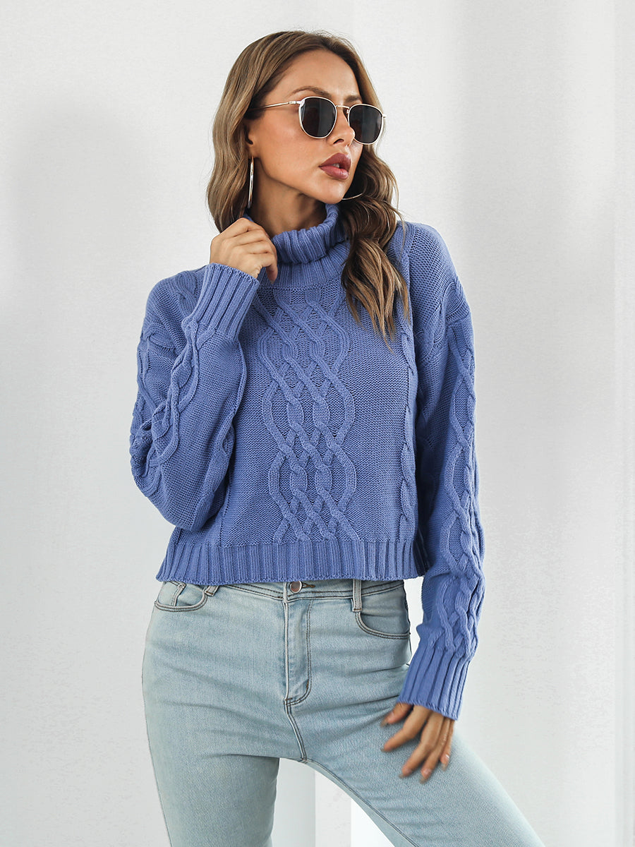 Turtleneck Dropped Shoulder Sweater BLUE ZONE PLANET