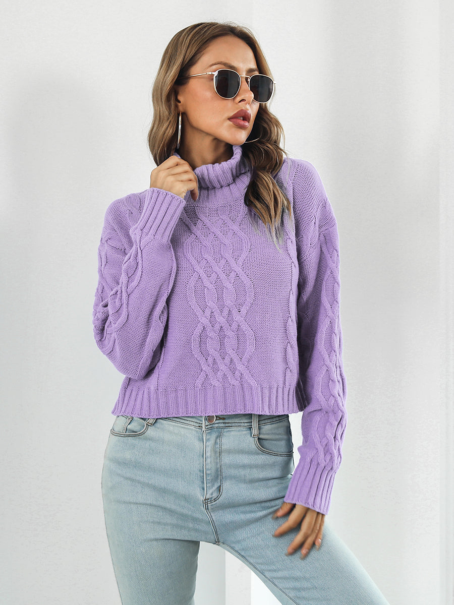 Turtleneck Dropped Shoulder Sweater BLUE ZONE PLANET