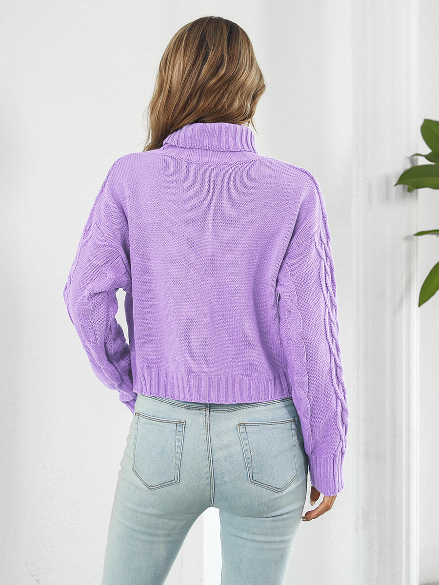 Turtleneck Dropped Shoulder Sweater BLUE ZONE PLANET