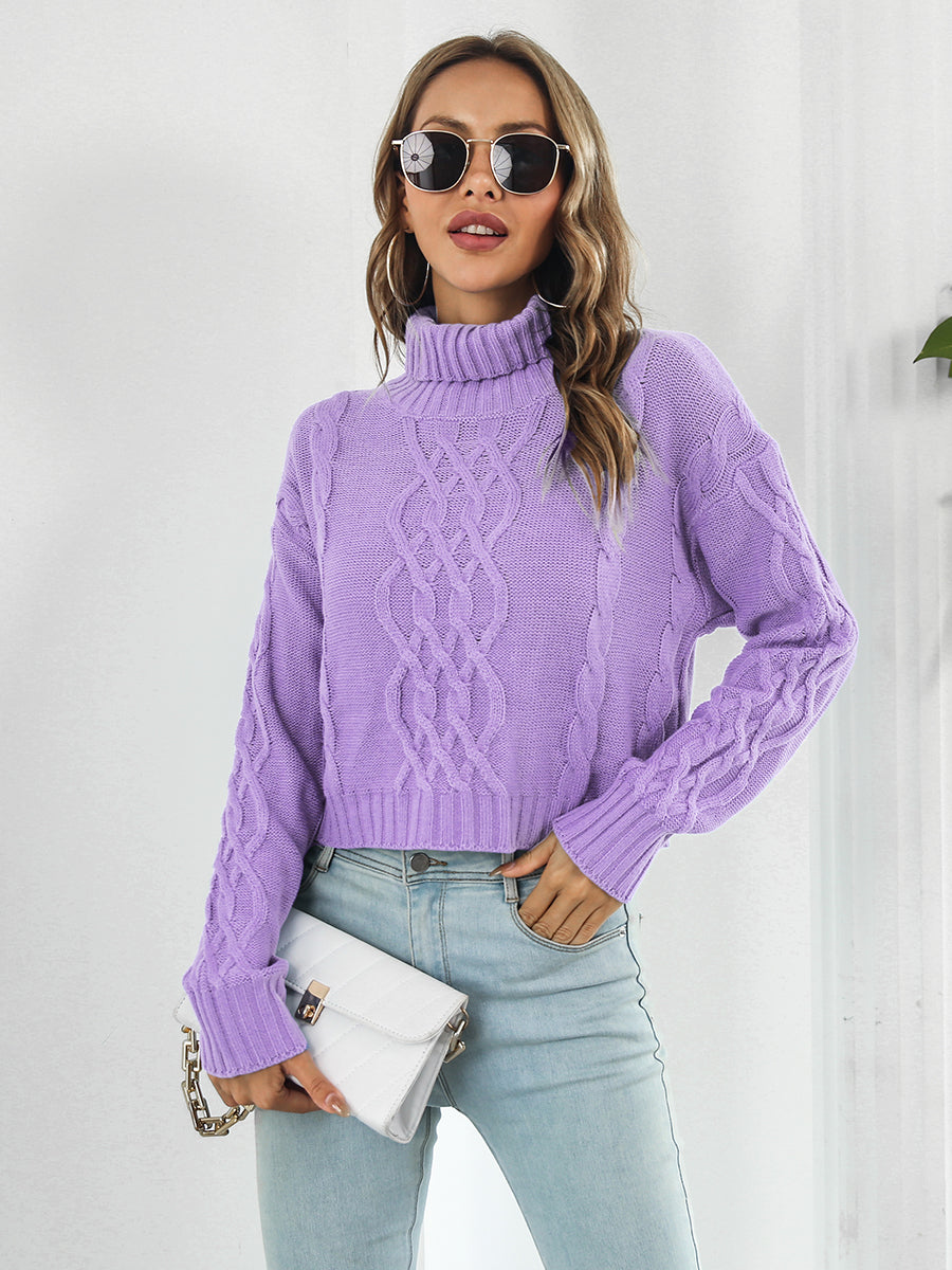 Turtleneck Dropped Shoulder Sweater BLUE ZONE PLANET