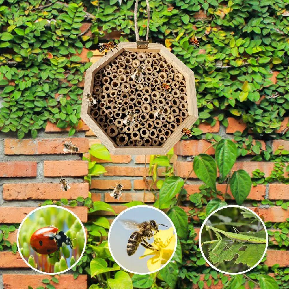 Wooden Bee Breeding Box Combination Blue Zone Planet