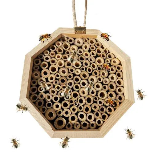 Wooden Bee Breeding Box Combination Blue Zone Planet