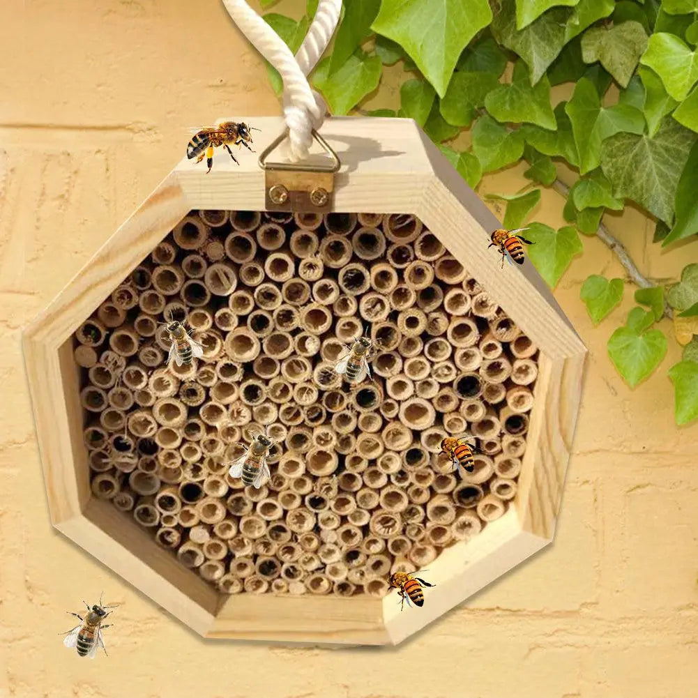 Wooden Bee Breeding Box Combination Blue Zone Planet