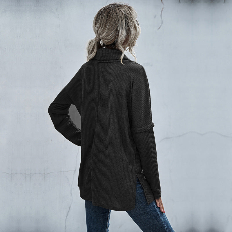 Blue Zone Planet | pile collar bottoming knitted sweater long sleeve inner layer BLUE ZONE PLANET