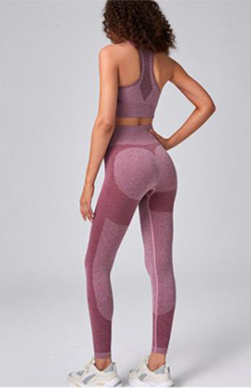 Blue Zone Planet | Seamless Mesh Quick Dry Bra Yoga Set BLUE ZONE PLANET