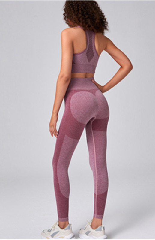 Blue Zone Planet | Seamless Mesh Quick Dry Bra Yoga Set BLUE ZONE PLANET
