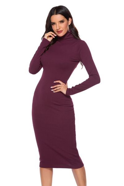 Ribbed Turtleneck Long Sleeve Dress BLUE ZONE PLANET