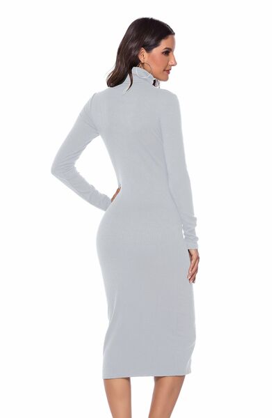 Ribbed Turtleneck Long Sleeve Dress BLUE ZONE PLANET