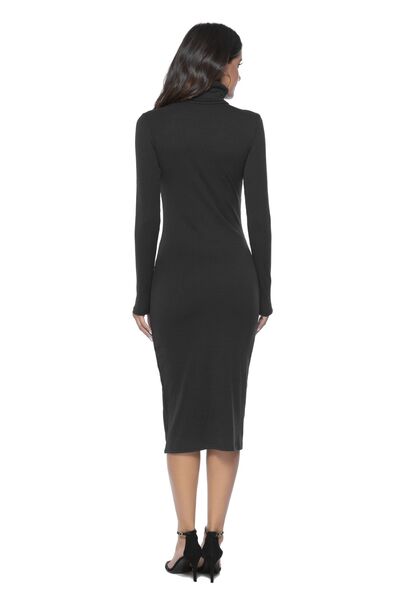 Ribbed Turtleneck Long Sleeve Dress BLUE ZONE PLANET