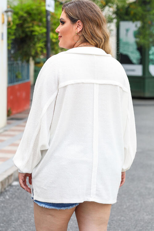 Plus Size Half Button Collared Neck Long Sleeve Blouse BLUE ZONE PLANET