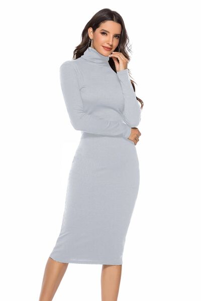 Ribbed Turtleneck Long Sleeve Dress BLUE ZONE PLANET