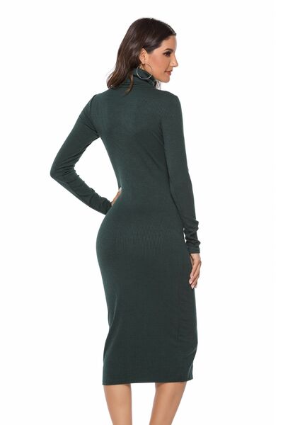 Ribbed Turtleneck Long Sleeve Dress BLUE ZONE PLANET