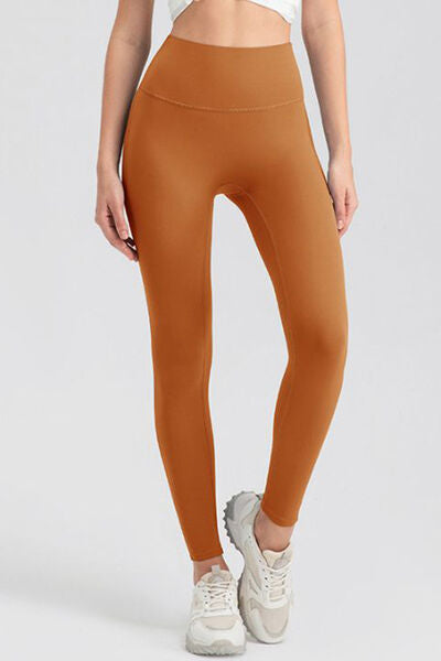 Blue Zone Planet | High Waist Skinny Active Pants BLUE ZONE PLANET