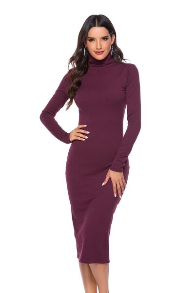 Ribbed Turtleneck Long Sleeve Dress BLUE ZONE PLANET