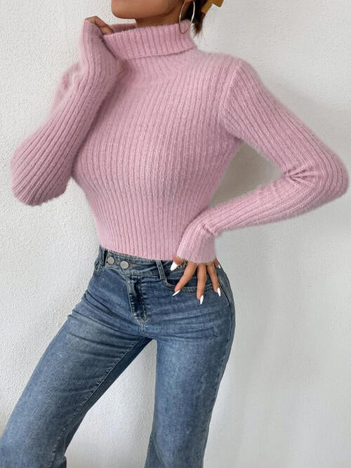 Ribbed Turtleneck Long Sleeve Sweater BLUE ZONE PLANET