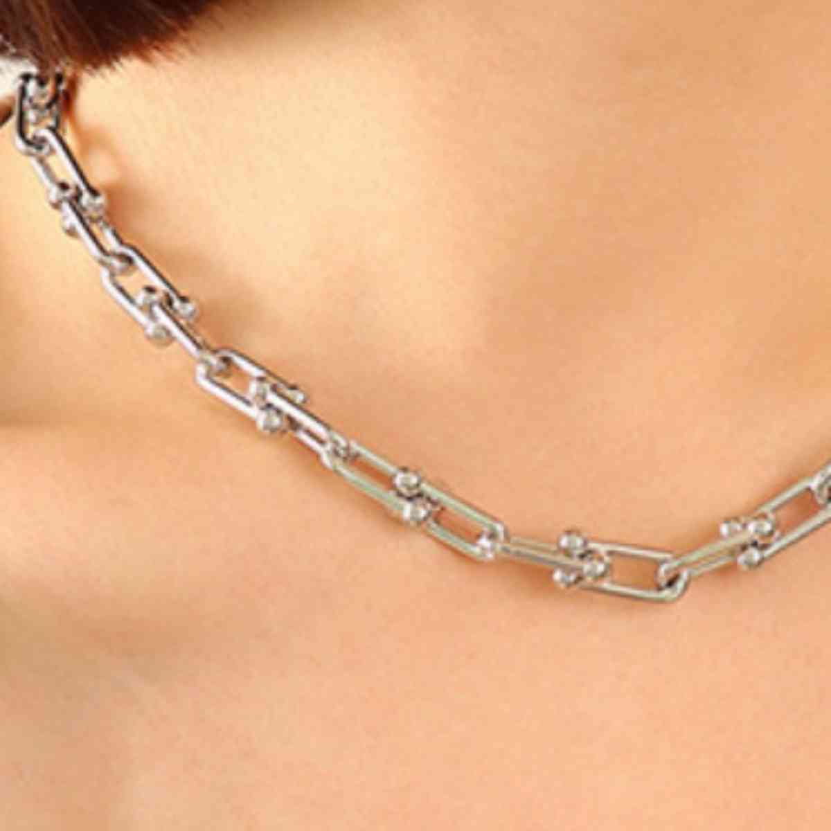 Chunky Chain Titanium Steel Necklace BLUE ZONE PLANET