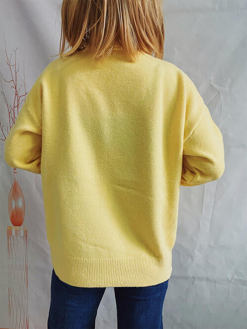 Blue Zone Planet | Turtleneck Long Sleeve Sweater BLUE ZONE PLANET