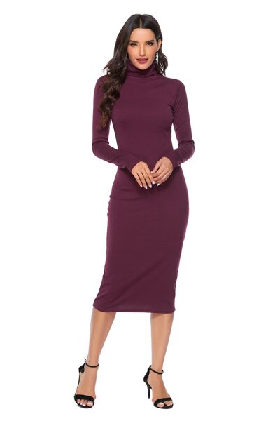 Ribbed Turtleneck Long Sleeve Dress BLUE ZONE PLANET