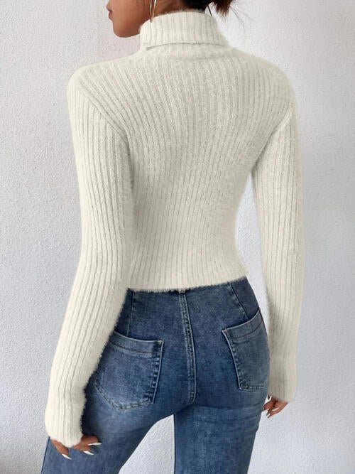 Ribbed Turtleneck Long Sleeve Sweater BLUE ZONE PLANET