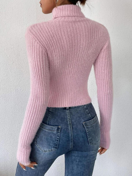 Ribbed Turtleneck Long Sleeve Sweater BLUE ZONE PLANET