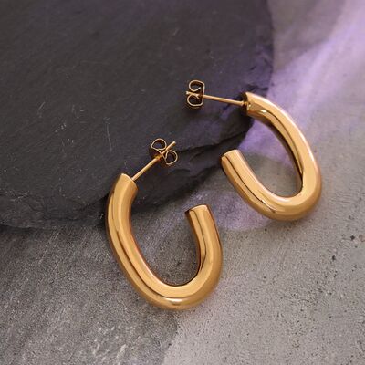 Blue Zone Planet | Titanium Steel Gold-Plated Earrings BLUE ZONE PLANET